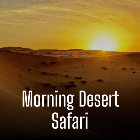 Morning Desert Safari