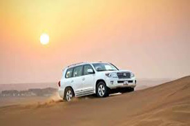 MORNING DESERT SAFARI