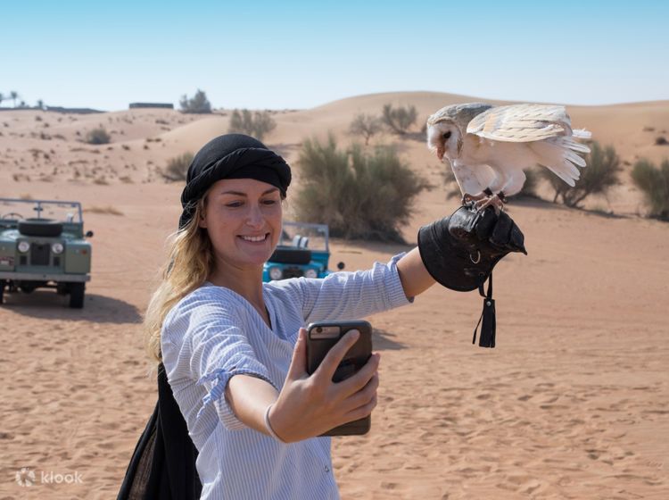 Platinum Royal Falconry Training and Nature Safari 