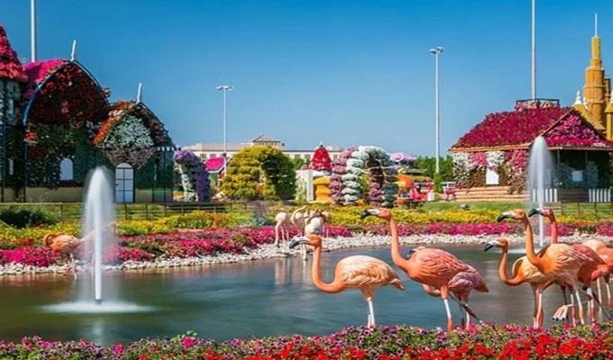Dubai Miracle Garden