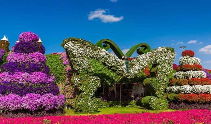 Dubai Miracle Garden