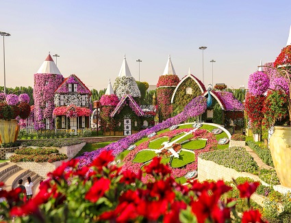 Dubai Butterfly Garden Ticket