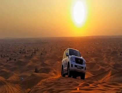 Morning Desert Safari