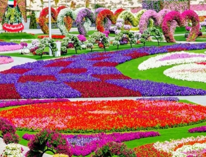 Dubai Miracle Garden Ticket with Transfer