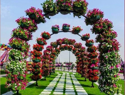 Dubai Miracle Garden Ticket with Transfer