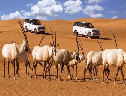 Platinum Heritage Dubai Exclusive Luxury Desert Safaris