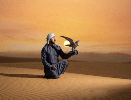 Platinum Royal Falconry Training and Nature Safari 