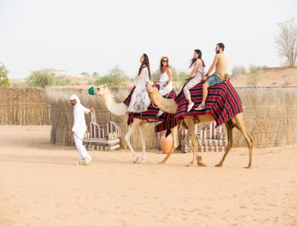 Evening Desert Safari (Shared)