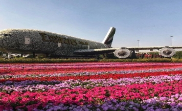 Dubai Miracle Garden Ticket with Transfer