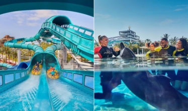Top Rides At Atlantis Aquaventure Waterpark In Dubai