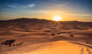Reasons Why People Love Morning Desert Safari In Dubai